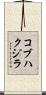 コブハクジラ Scroll