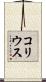 コリウス Scroll