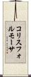 コリスフォルモーサ Scroll