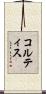 コルティス Scroll