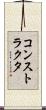 コンストラクタ Scroll