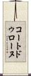 コートドゥローヌ Scroll