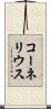 コーネリウス Scroll