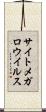 サイトメガロウイルス Scroll