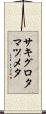 サキグロタマツメタ Scroll