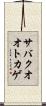 サバクオオトカゲ Scroll