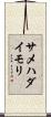 サメハダイモリ Scroll