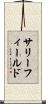 サリーフィールド Scroll