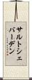 サルトシェバーデン Scroll