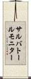 サルバトール・モニター Scroll