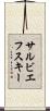 サルビエフスキー Scroll