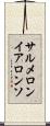 サルメロンイアロンソ Scroll