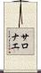 サロナエ Scroll
