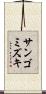 サンゴミズキ Scroll