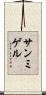 Sanmiguel Scroll