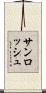 サンロッシュ Scroll