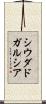 シウダドガルシア Scroll