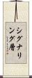 シグナリング層 Scroll