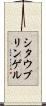 シタウブリンゲル Scroll