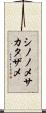 シノノメサカタザメ Scroll