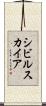 シビルスカイア Scroll