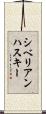 シベリアンハスキー Scroll