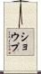 Shoup Scroll