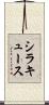 シラキュース Scroll