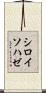 シロイソハゼ Scroll