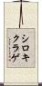 シロキクラゲ Scroll