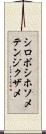 シロボシホソメテンジクザメ Scroll