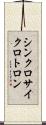 シンクロサイクロトロン Scroll