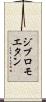 ジブロモエタン Scroll