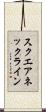 スクエアネックライン Scroll