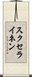 スクセライネン Scroll