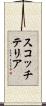 スコッチ・テリア Scroll