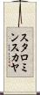 スタロミンスカヤ Scroll