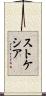 ストケシア Scroll