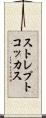 ストレプトコッカス Scroll