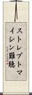 ストレプトマイシン難聴 Scroll