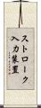 ストローク入力装置 Scroll