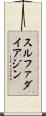 スルファダイアジン Scroll
