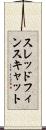 スレッドフィンスキャット Scroll