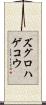 ズグロハゲコウ Scroll