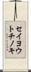 セイヨウトチノキ Scroll