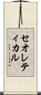 セオレティカル Scroll