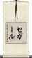セガール Scroll