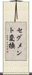 セグメント変換 Scroll