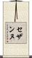 セザンヌ Scroll