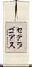 セテラゴアス Scroll